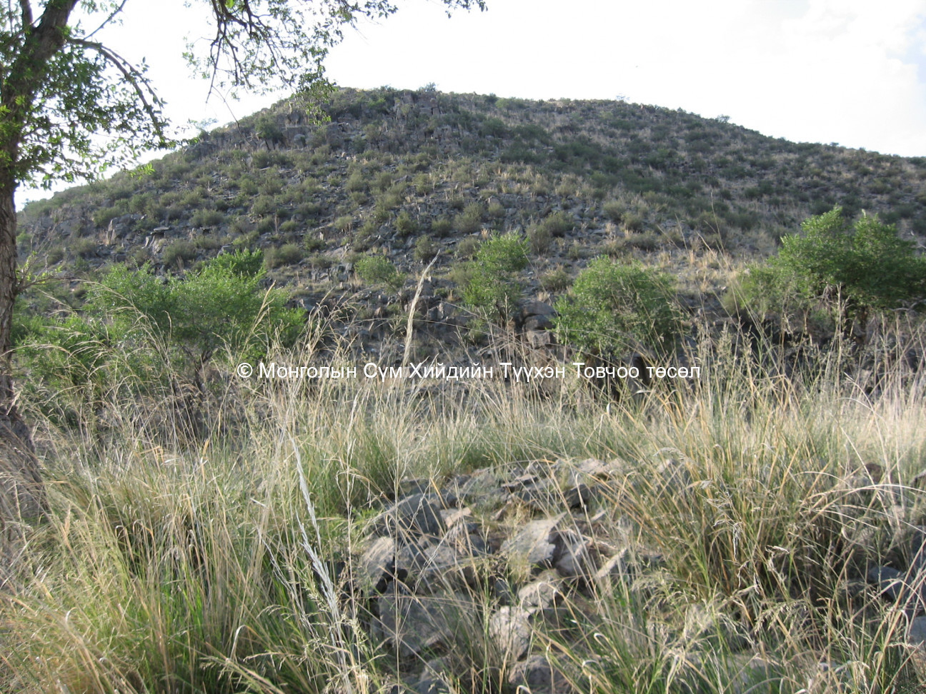 Зүүн-Өмнөд талаас авсан